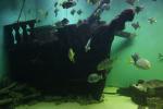 Zoo Mořský svět - největší mořské akvárium v České republice