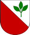 Bučina