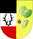 Bučí