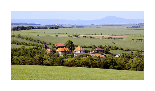 kvilice.jpg