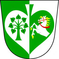 Pokřikov