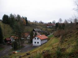 Proruby