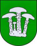 Václavy
