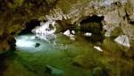 Bozkovské dolomitové jeskyně 6