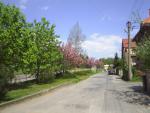 Dalovice 4
