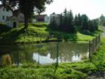 Kočín 7