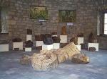 Muzeum zkamenělý les - Louny 1
