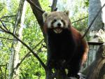 Zoologická zahrada Ostrava 2
