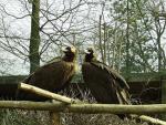 Zoologická zahrada Ostrava 4