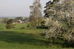 Bulovka 8