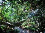 Zoologická zahrada Praha 3