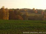 Vestec 6